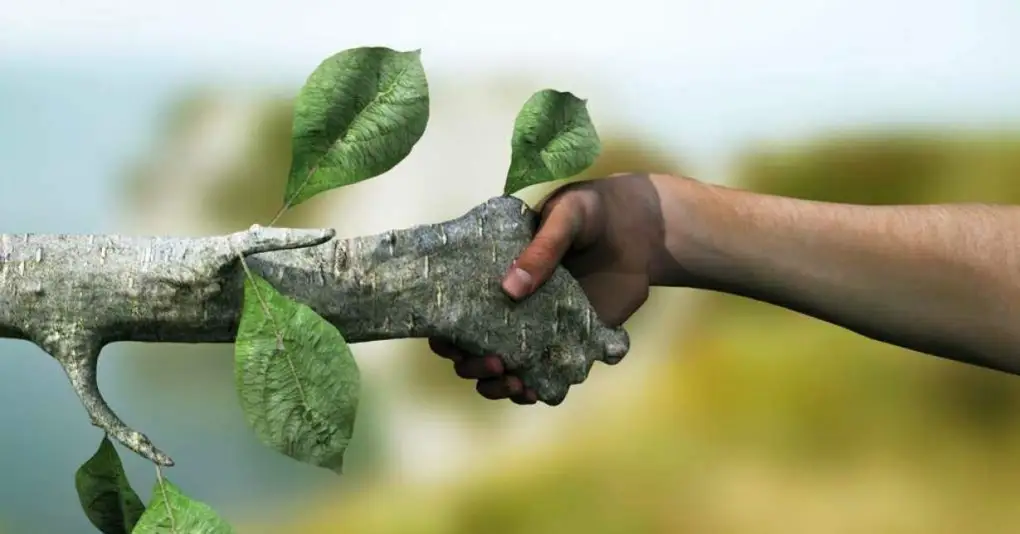 Medio ambiente y recursos sustentables
